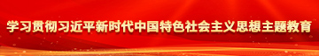 女人被男人上下齐艹视频学习贯彻习近平新时代中国特色社会主义思想主题教育